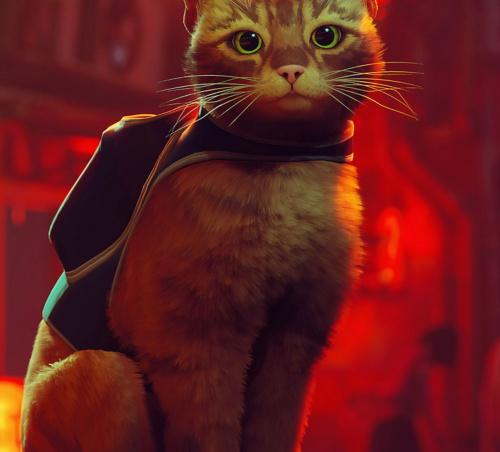 Stray