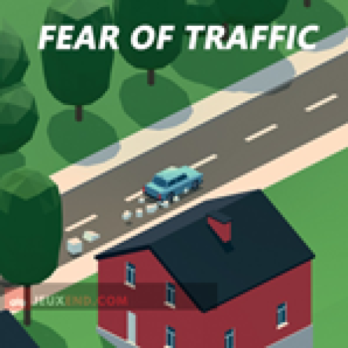 Fear Of Traffic