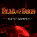 Fear of Bugs: The Fear Experience