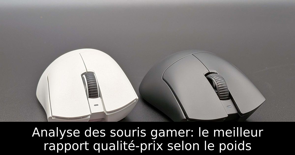Analyse des souris gamer: le meilleur rapport qualité-prix selon le poids