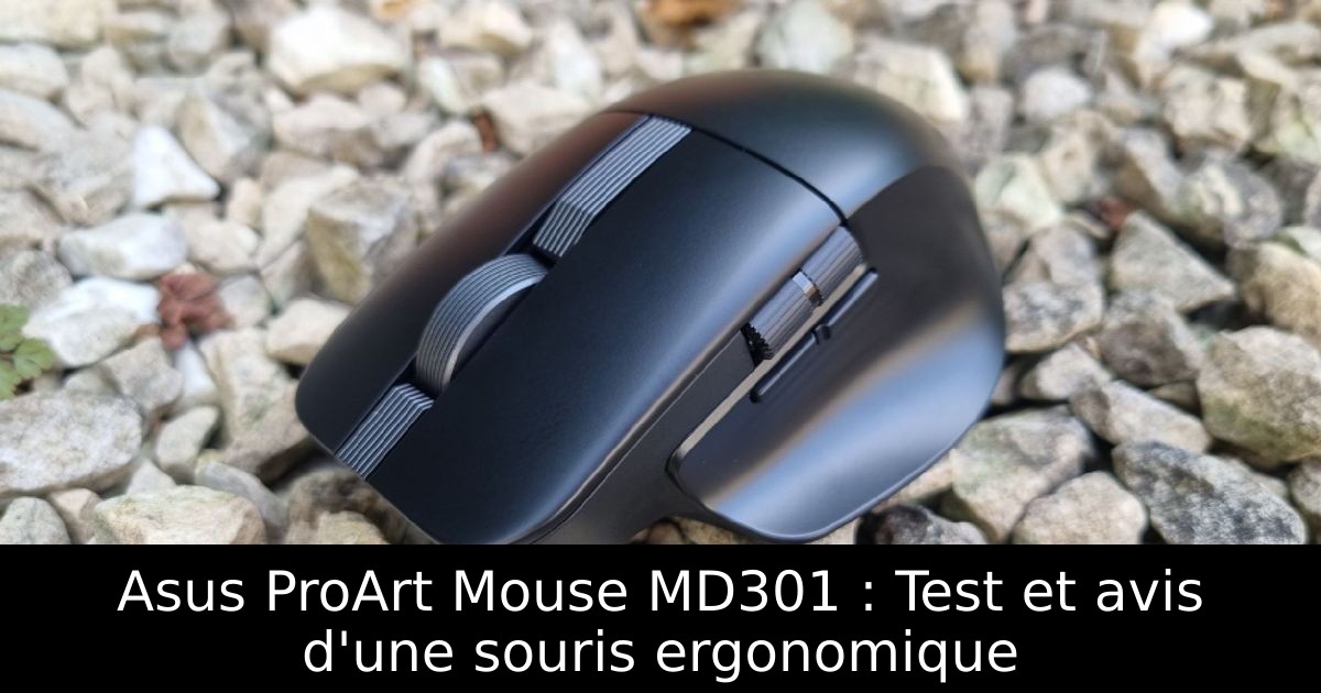 Asus ProArt Mouse MD301 : Test et avis d'une souris ergonomique