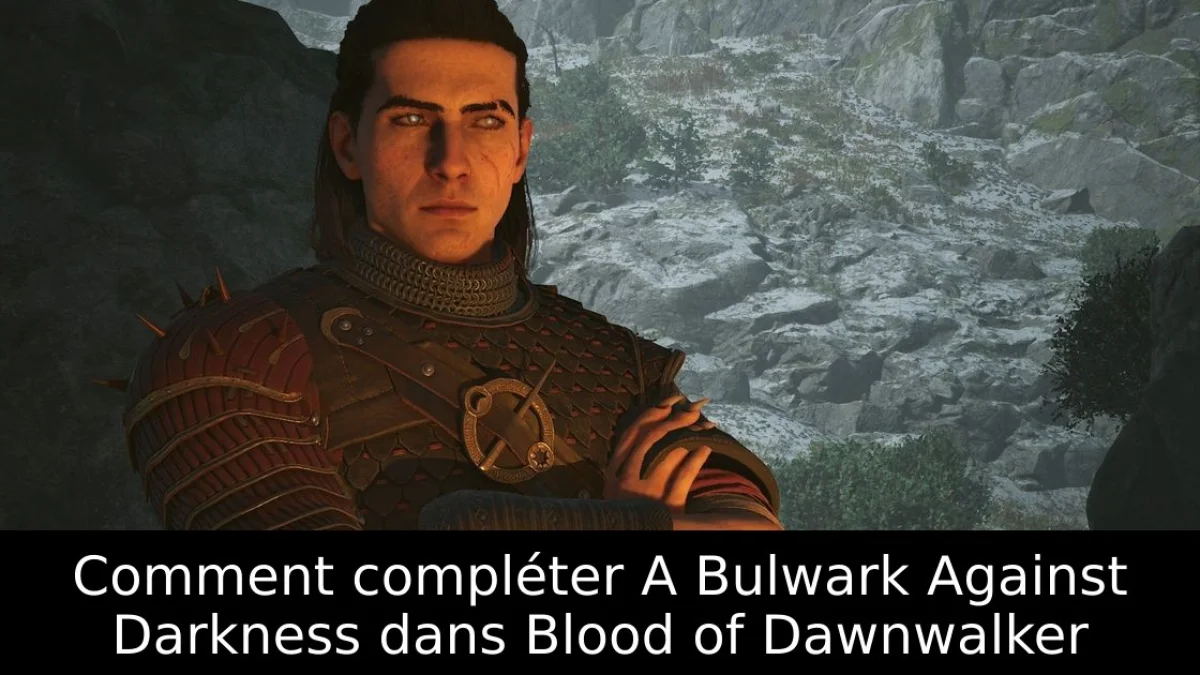 Le Rempart contre les ténèbres : les 4 composants de l'armure de l'Arbitre dans The Blood of Dawnwalker