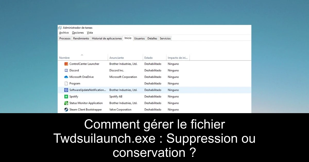 Comment gérer le fichier Twdsuilaunch.exe : Suppression ou conservation ?