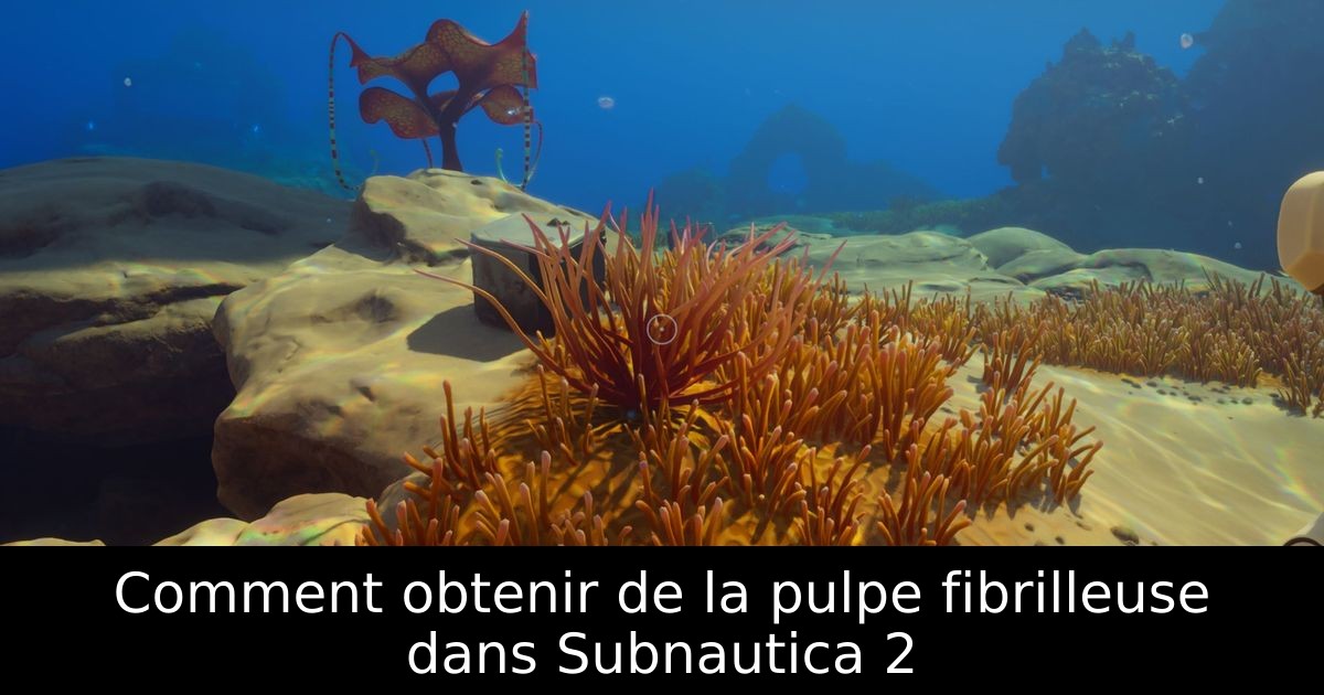 Comment obtenir de la pulpe fibrilleuse dans Subnautica 2