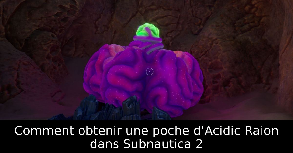 Comment obtenir une poche d'Acidic Raion dans Subnautica 2