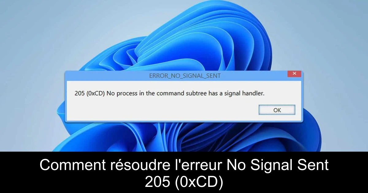 Comment résoudre l'erreur No Signal Sent 205 (0xCD)