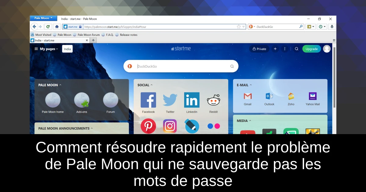 Comment résoudre rapidement le problème de Pale Moon qui ne sauvegarde pas les mots de passe