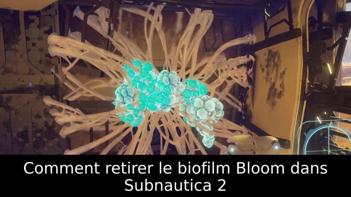 Comment retirer le biofilm Bloom dans Subnautica 2