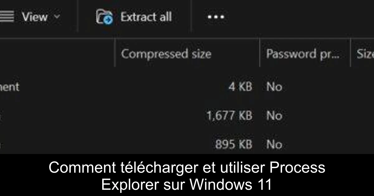Comment télécharger et utiliser Process Explorer sur Windows 11