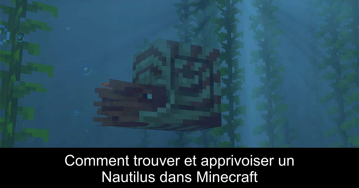 Comment trouver et apprivoiser un Nautilus dans Minecraft