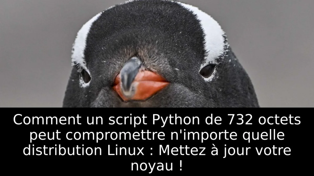 Comment un script Python de 732 octets peut compromettre n'importe quelle distribution Linux : Mettez à jour votre noyau !