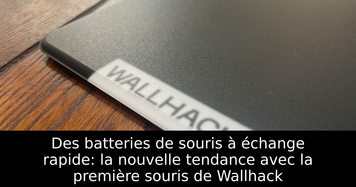 Des batteries de souris à échange rapide: la nouvelle tendance avec la première souris de Wallhack