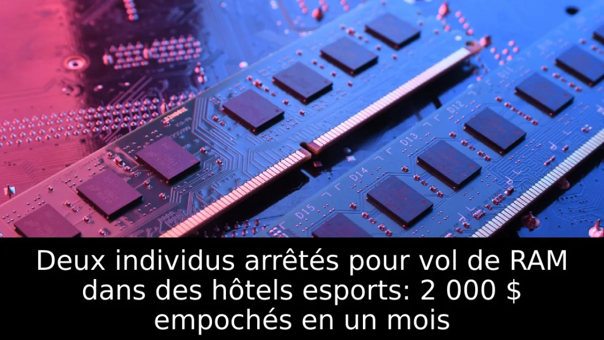 Deux individus arrêtés pour vol de RAM dans des hôtels esports: 2 000 $ empochés en un mois