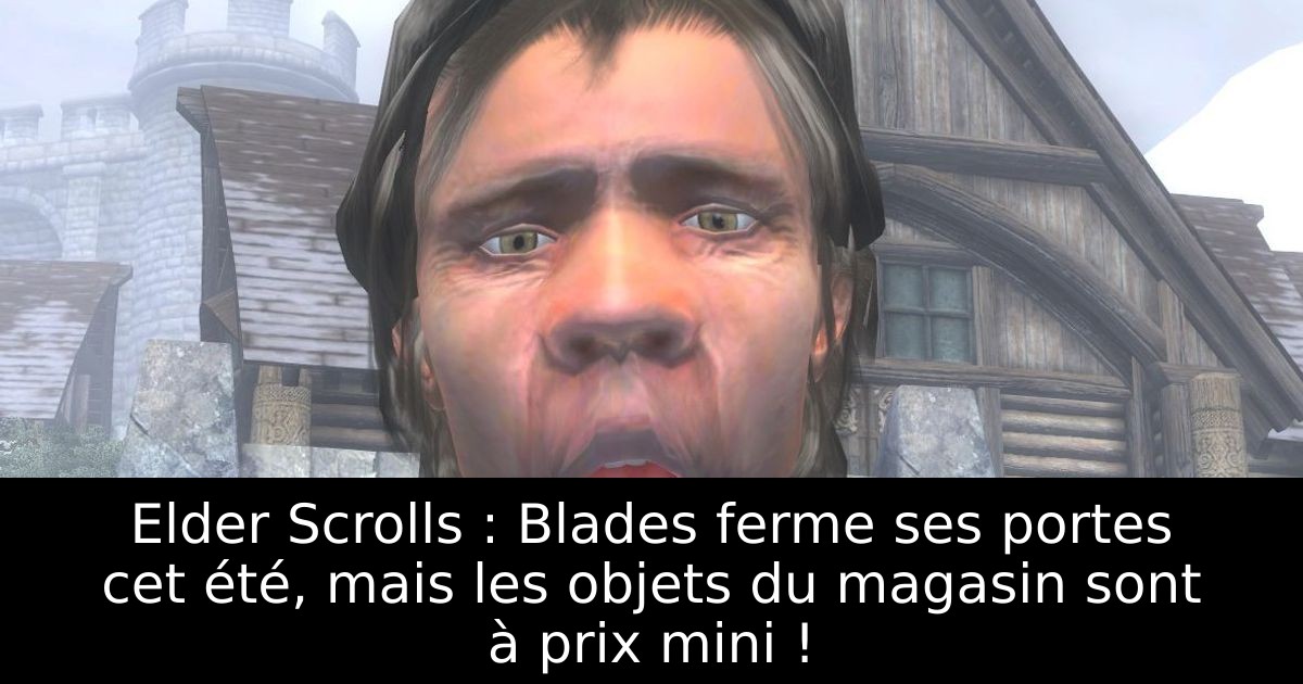 Elder Scrolls : Blades ferme ses portes cet été, mais les objets du magasin sont à prix mini !