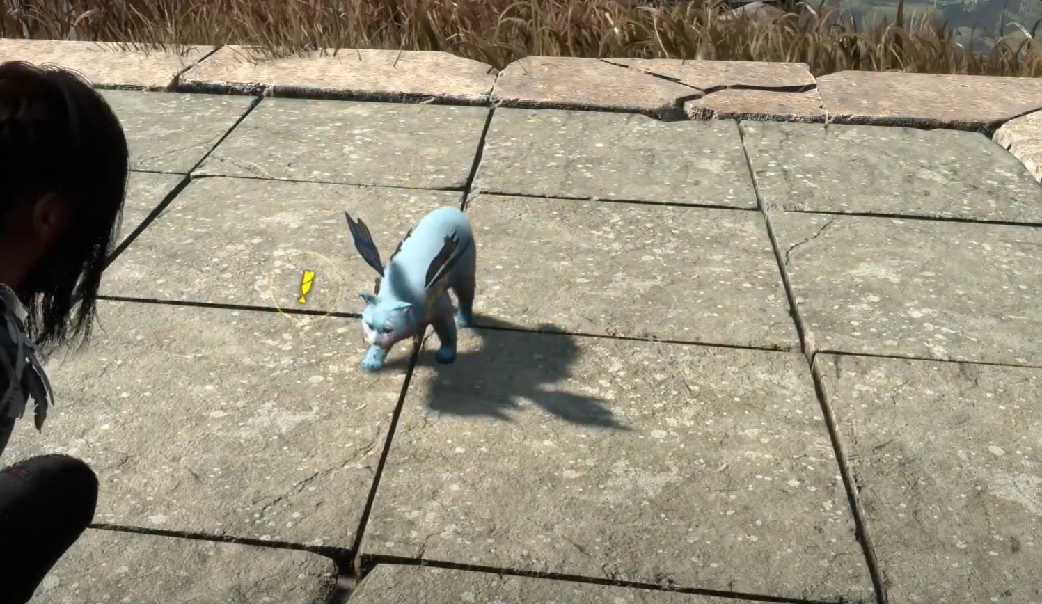 Forspoken – Quête secondaire : Attrapez le chat