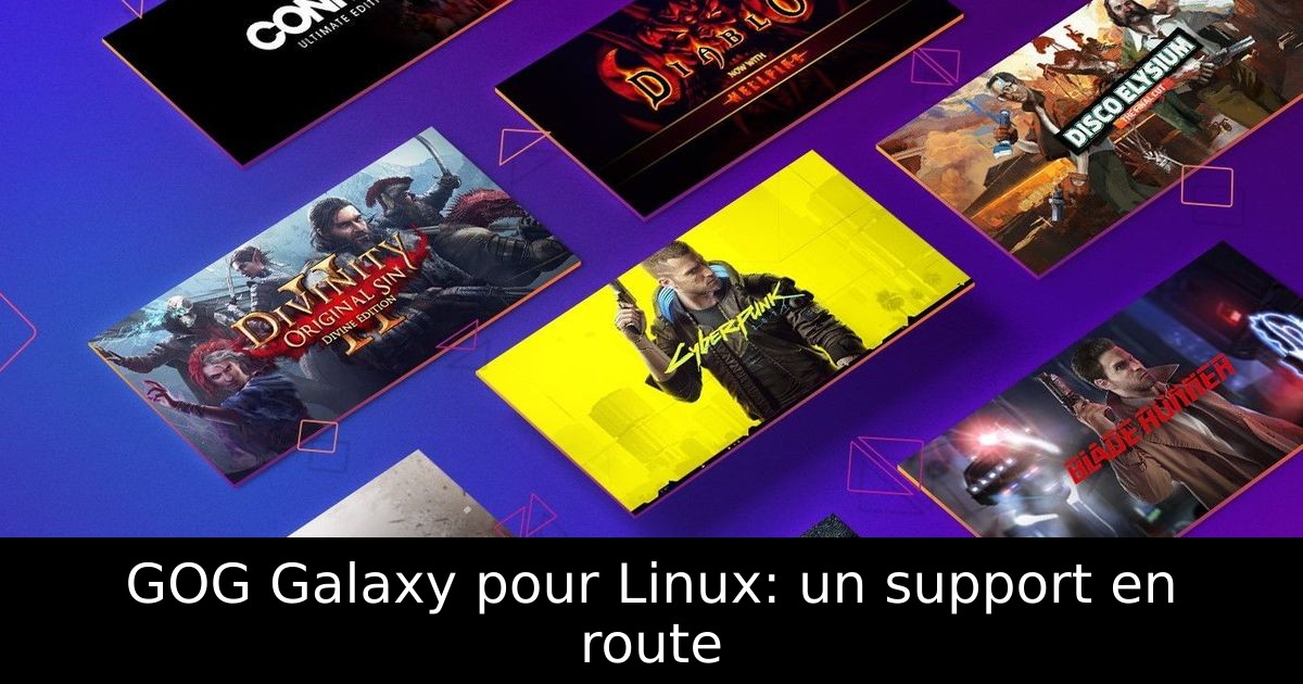 GOG Galaxy pour Linux: un support en route