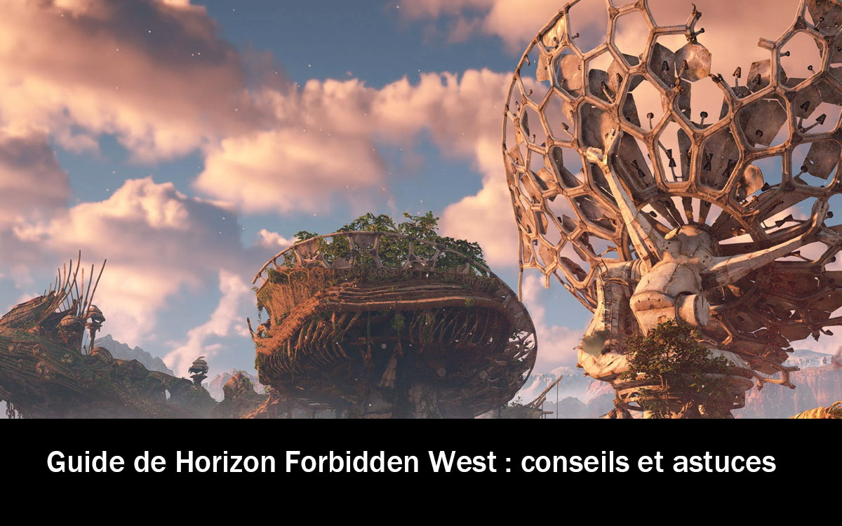 Guide de Horizon Forbidden West : conseils et astuces