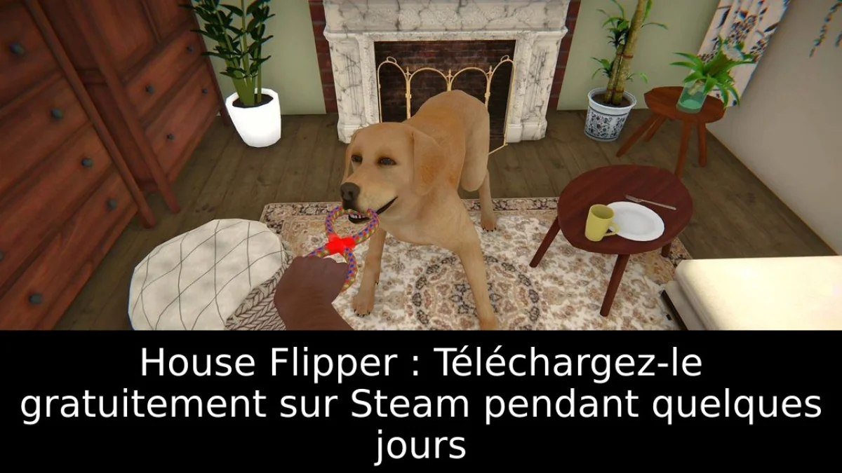 House Flipper : Téléchargez-le gratuitement sur Steam pendant quelques jours