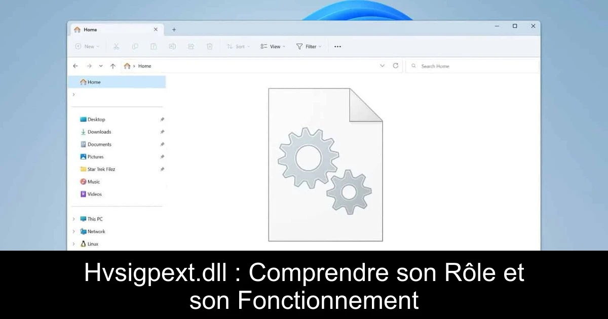 Hvsigpext.dll : Comprendre son Rôle et son Fonctionnement