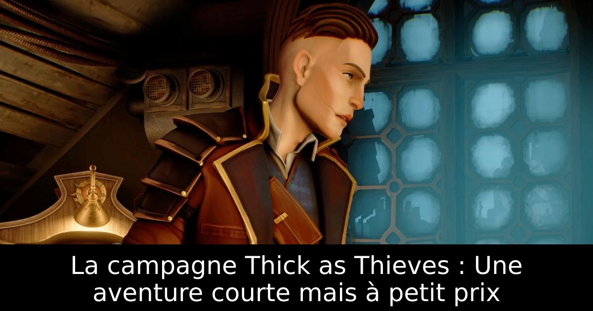 La campagne Thick as Thieves : Une aventure courte mais à petit prix