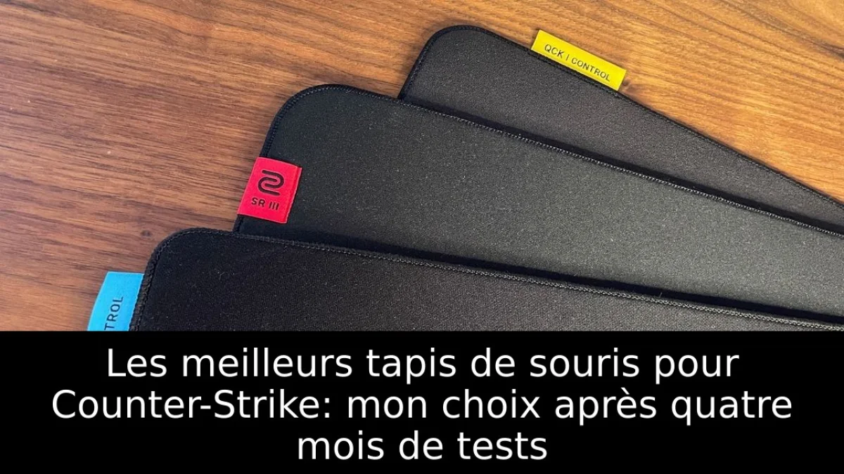 Les meilleurs tapis de souris pour Counter-Strike: mon choix après quatre mois de tests