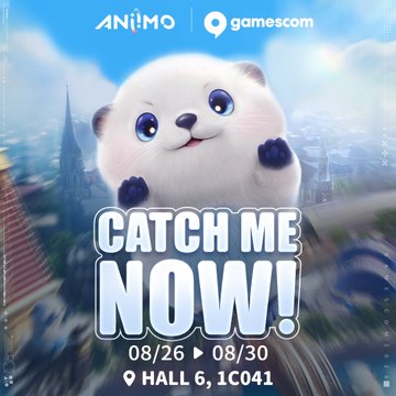 Aniimo : guide débutant, capture, Twining, équipe et progression