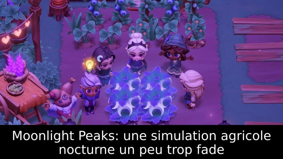 Moonlight Peaks: une simulation agricole nocturne un peu trop fade