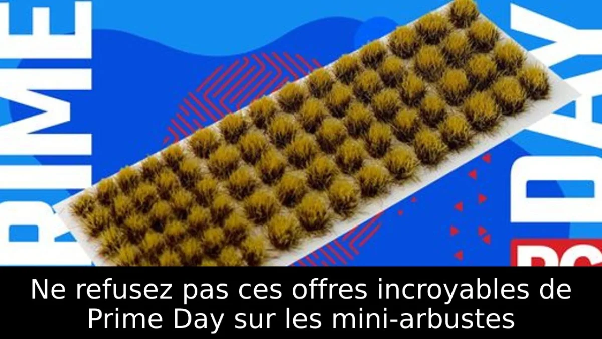 Ne refusez pas ces offres incroyables de Prime Day sur les mini-arbustes