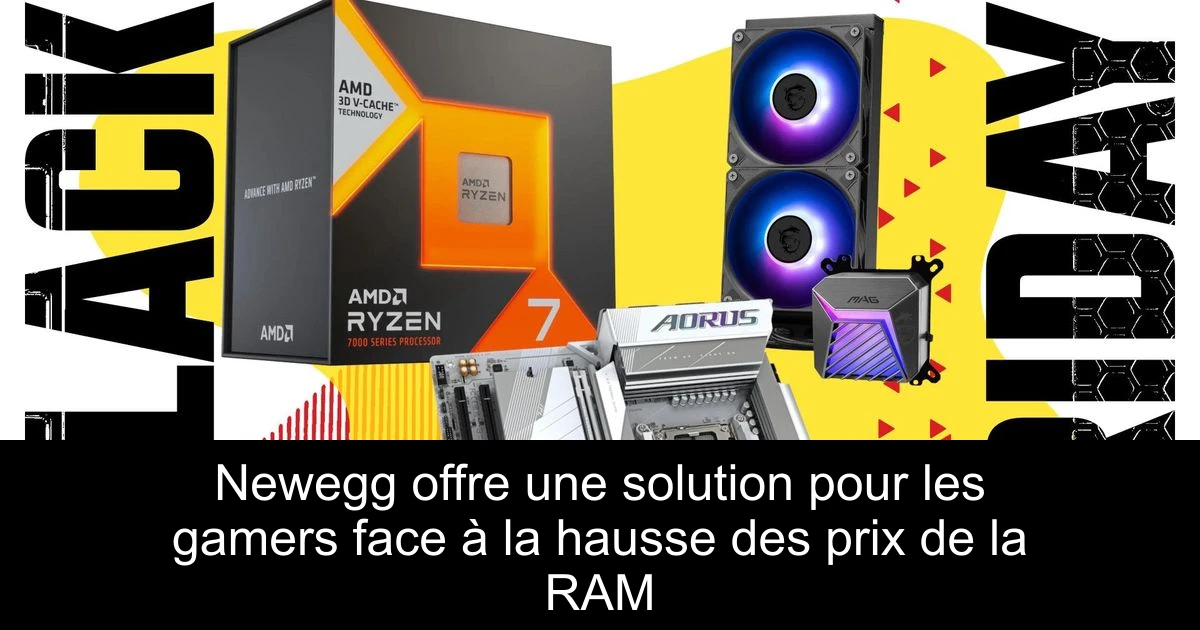 Newegg offre une solution pour les gamers face à la hausse des prix de la RAM