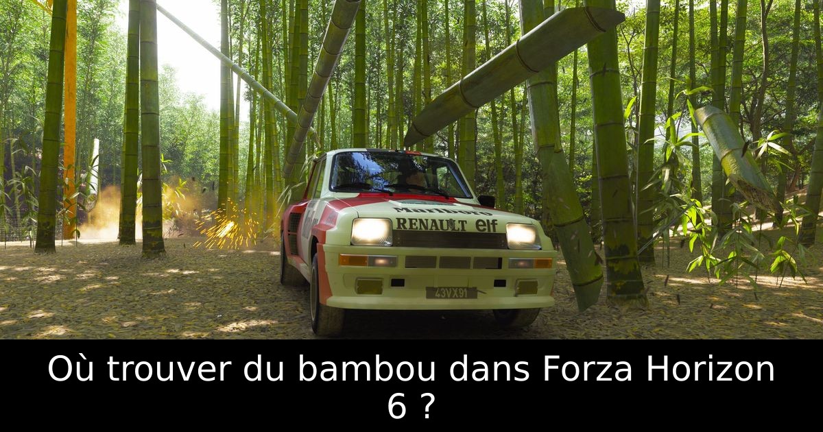 Où trouver du bambou dans Forza Horizon 6 ?