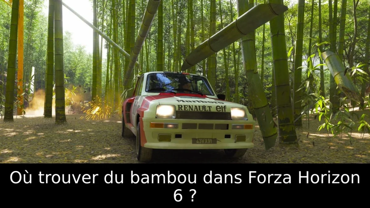 Où trouver du bambou dans Forza Horizon 6 ?