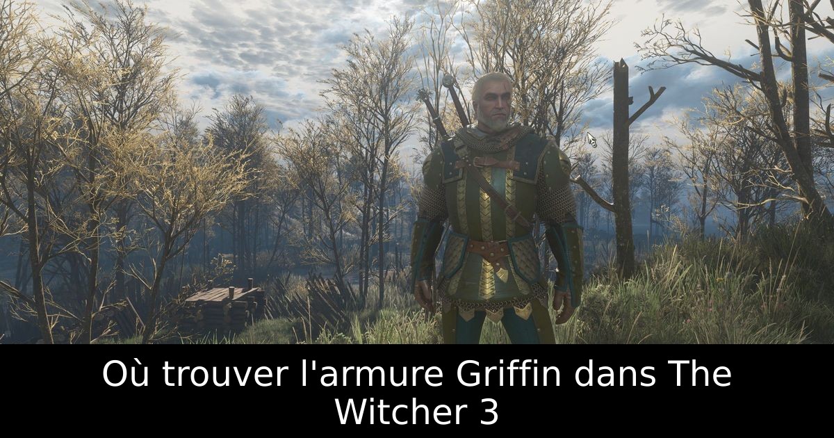 Où trouver l'armure Griffin dans The Witcher 3