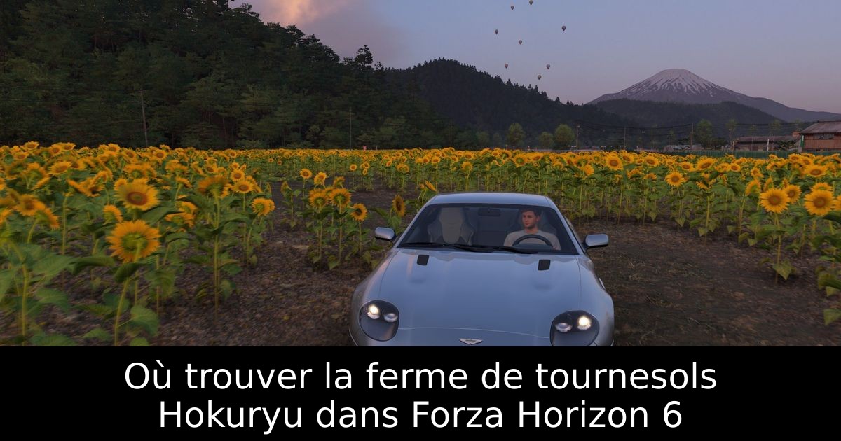 Où trouver la ferme de tournesols Hokuryu dans Forza Horizon 6