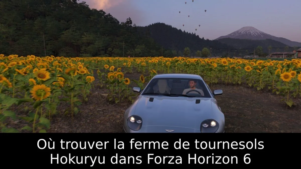 Où trouver la ferme de tournesols Hokuryu dans Forza Horizon 6