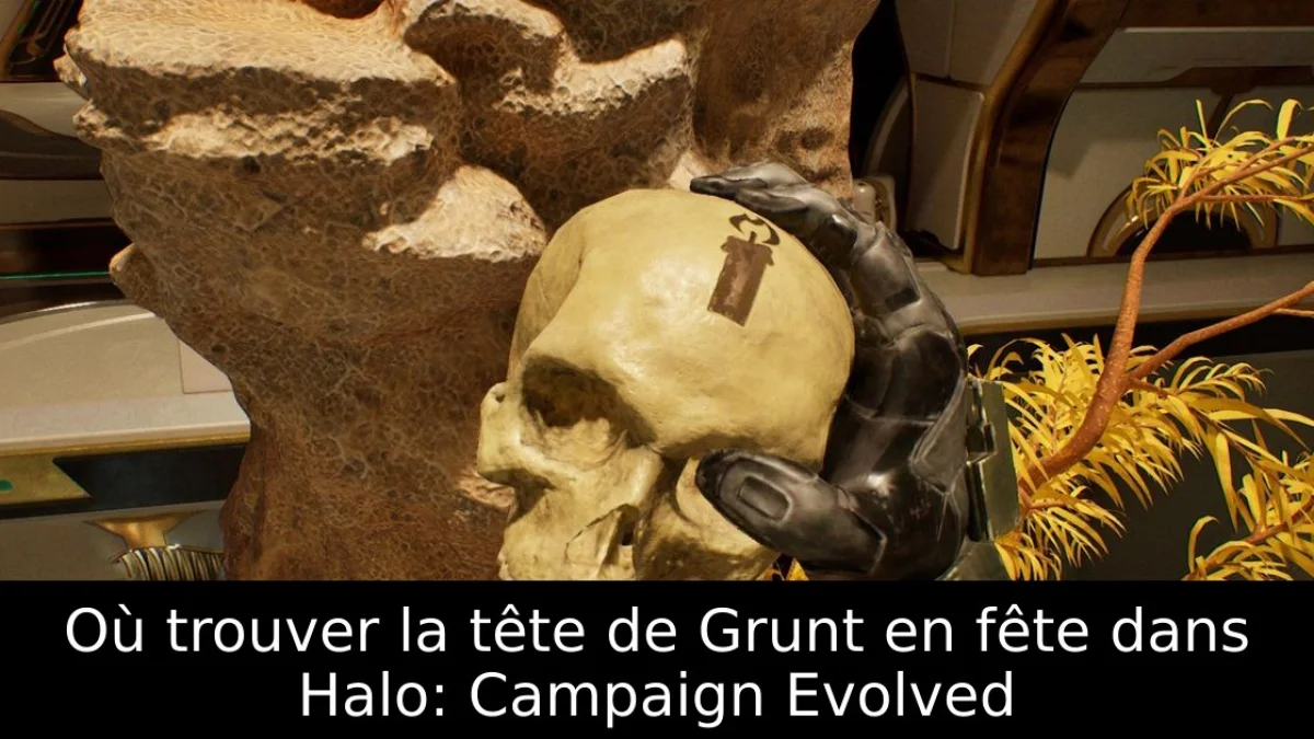 Où trouver la tête de Grunt en fête dans Halo: Campaign Evolved