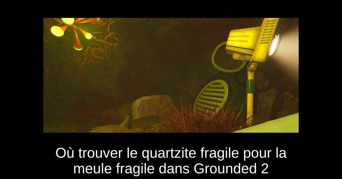 Où trouver le quartzite fragile pour la meule fragile dans Grounded 2