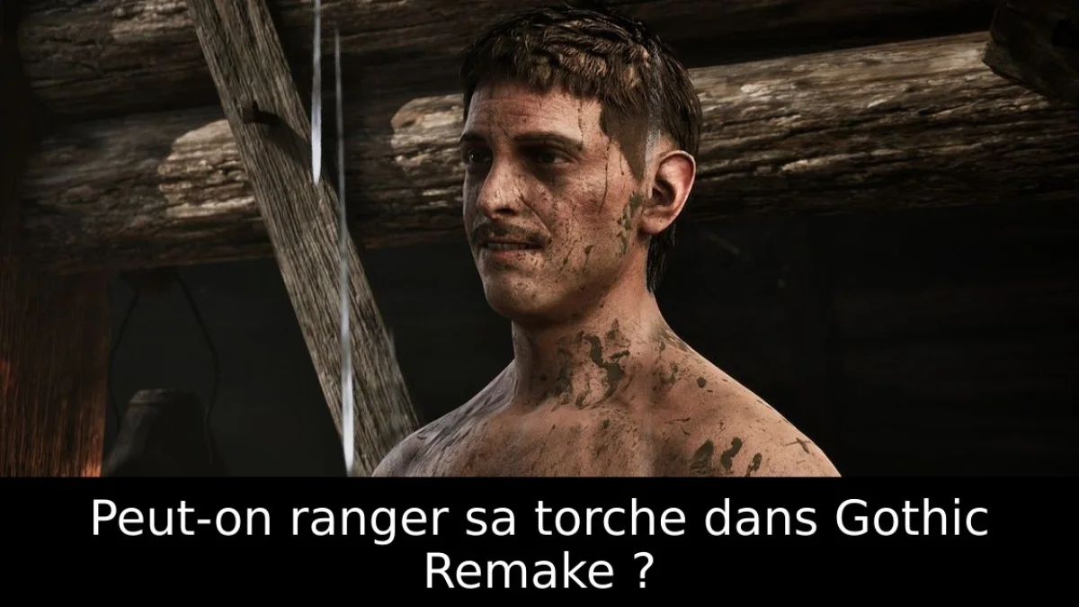 Peut-on ranger sa torche dans Gothic Remake ?