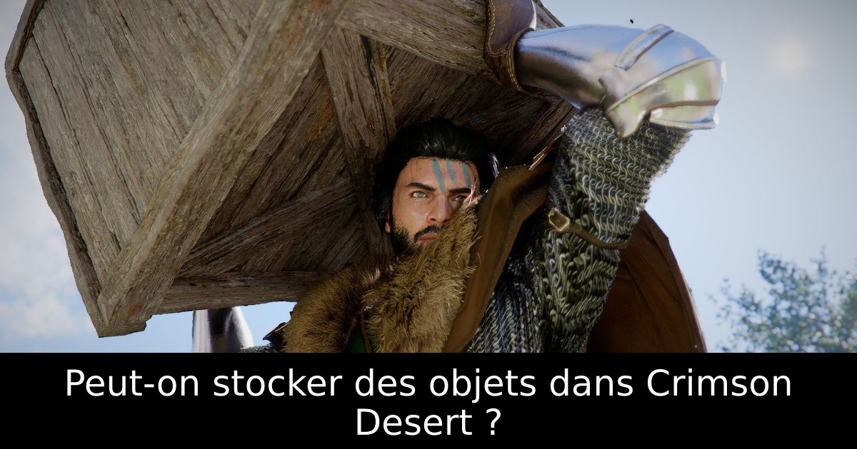 Peut-on stocker des objets dans Crimson Desert ?