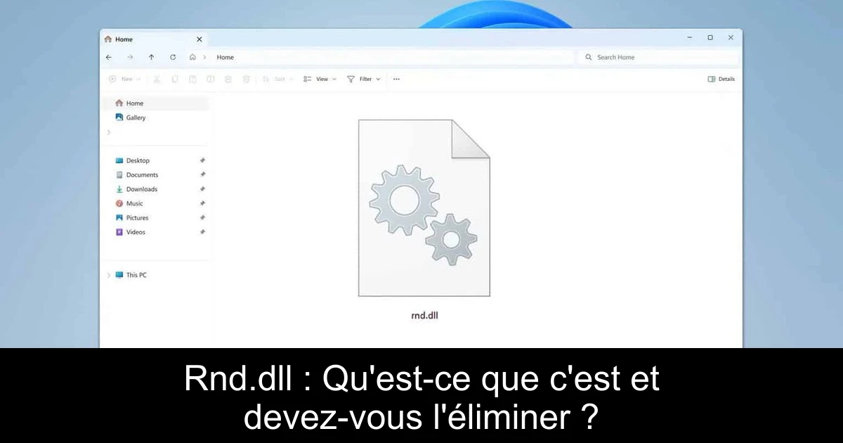 Rnd.dll : Qu'est-ce que c'est et devez-vous l'éliminer ?