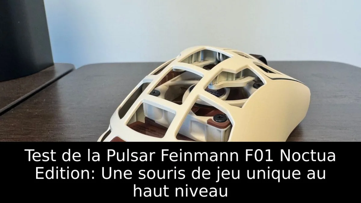 Test de la Pulsar Feinmann F01 Noctua Edition: Une souris de jeu unique au haut niveau