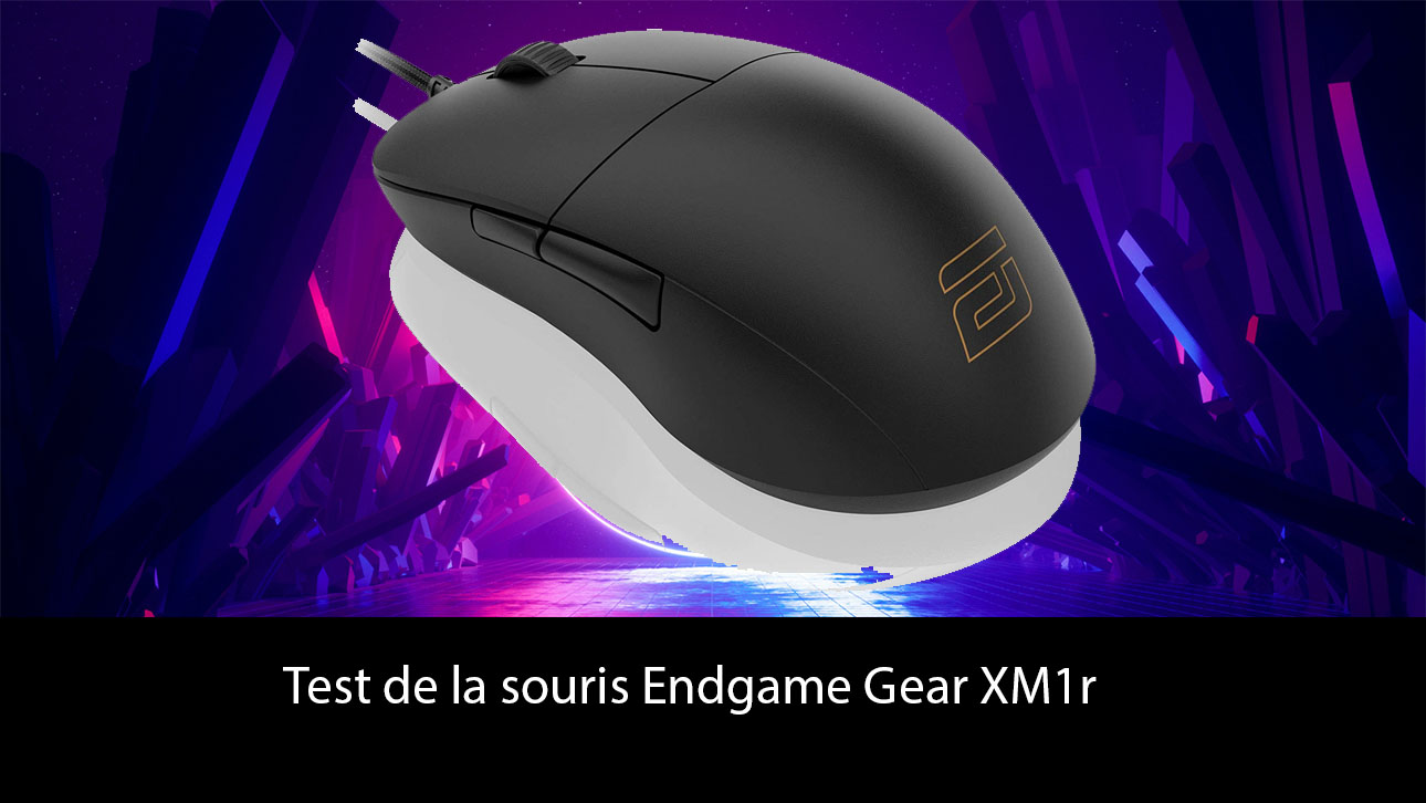 Test de la souris Endgame Gear XM1r
