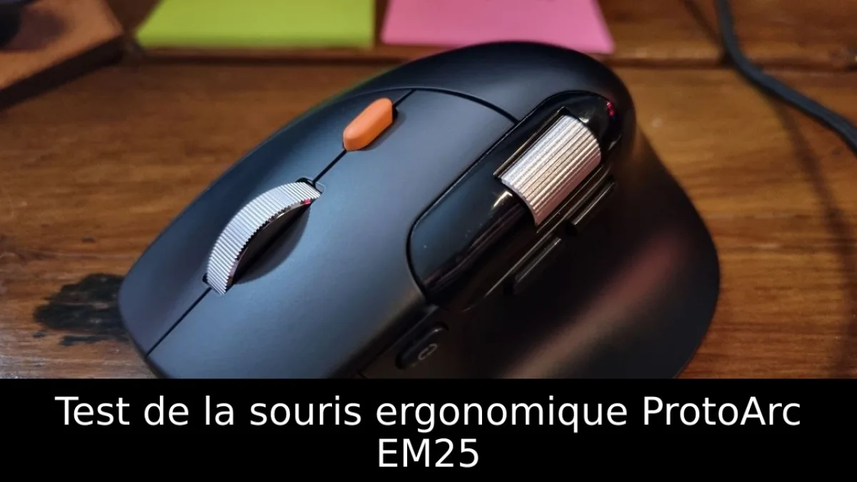 Test de la souris ergonomique ProtoArc EM25