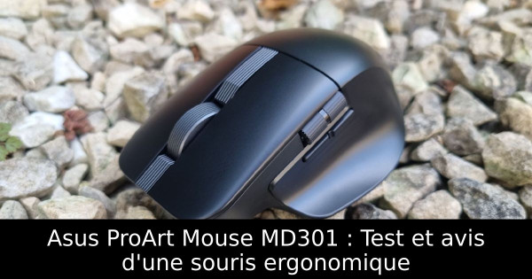 Asus ProArt Mouse MD301 : Test et avis d'une souris ergonomique