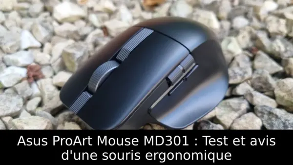 Asus ProArt Mouse MD301 : Test et avis d'une souris ergonomique