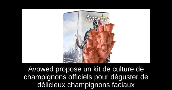 Avowed propose un kit de culture de champignons officiels pour déguster de délicieux champignons faciaux