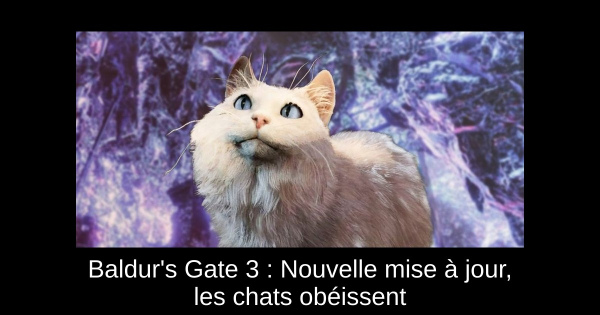 Baldur's Gate 3 : Nouvelle mise à jour, les chats obéissent