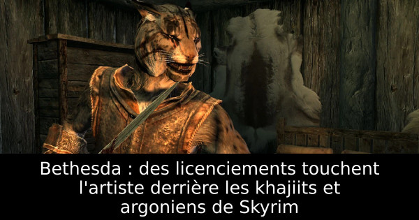 Bethesda : des licenciements touchent l'artiste derrière les khajiits et argoniens de Skyrim