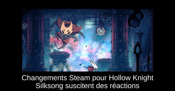 Changements Steam pour Hollow Knight Silksong suscitent des réactions