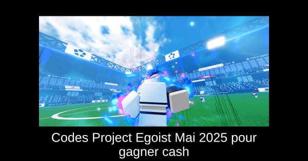 Codes Project Egoist Mai 2025 pour gagner cash