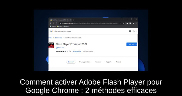 Comment activer Adobe Flash Player pour Google Chrome : 2 méthodes efficaces